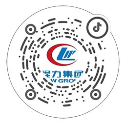 程力集团官方抖音号
